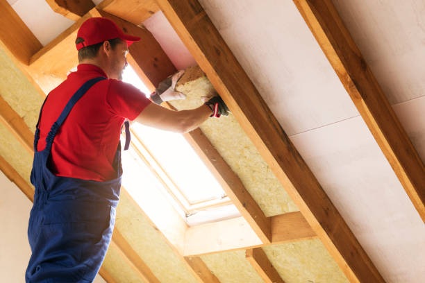 Best Commercial Insulation Services  in Kenbridge, VA